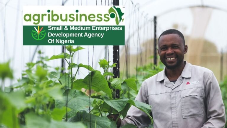 SMEDAN AgriBusiness Empowerment Program 2025 training session