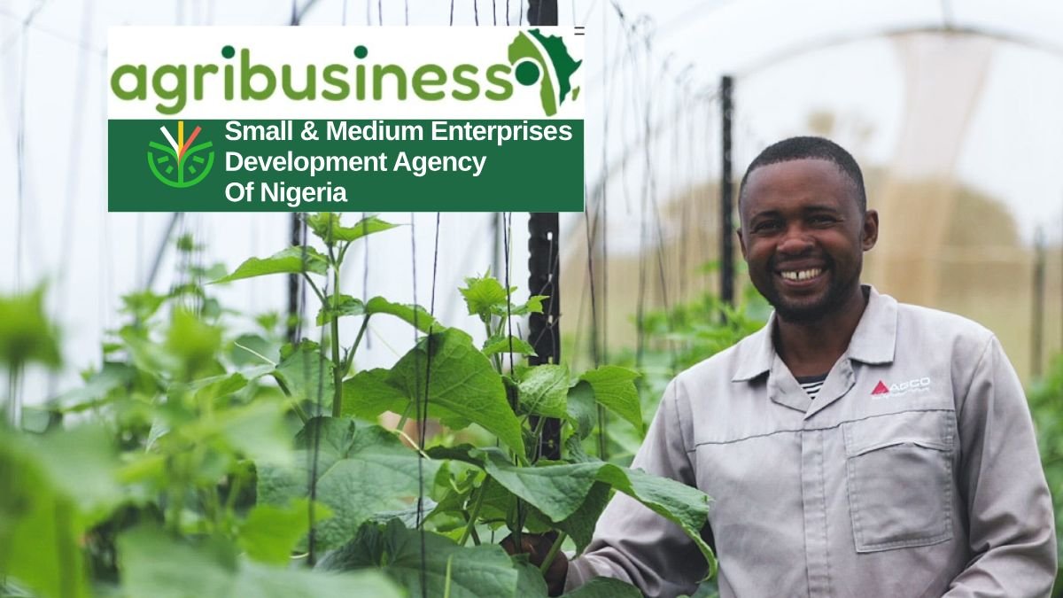 SMEDAN AgriBusiness Empowerment Program 2025 training session